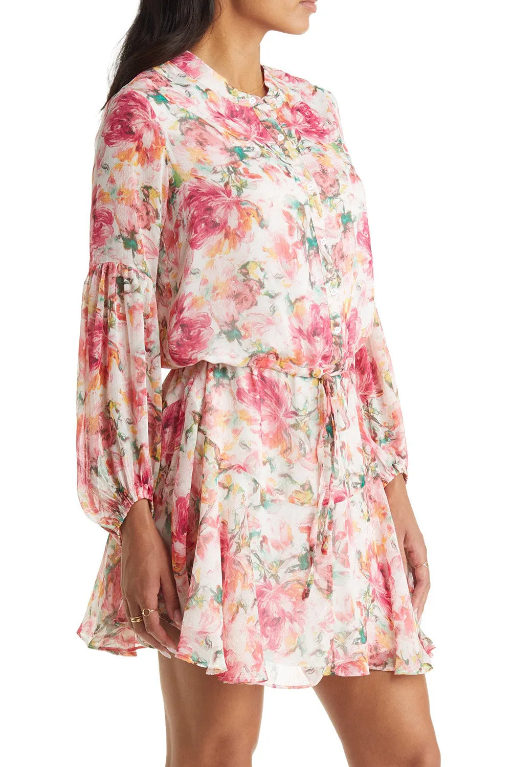 Women's Long Sleeve Ruffle Dress Floral Flowy Boho Mini Short Beach Dress